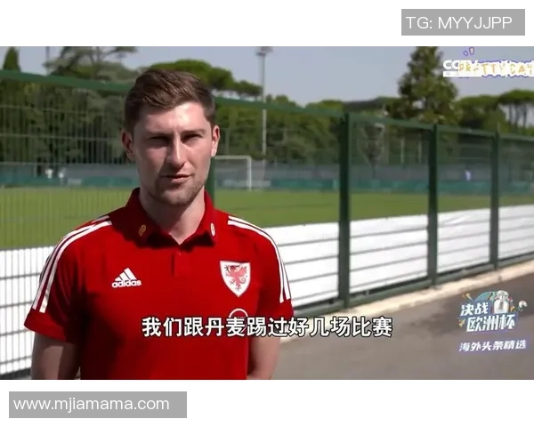 丹麦与威尔士精彩对决直播全程回顾与赛后分析 丹麦与威尔士精彩对决直播全程回顾与赛后分析