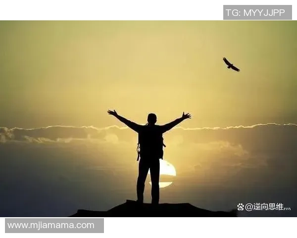 崔永熙：从平凡到卓越的奋斗历程与人生智慧分享