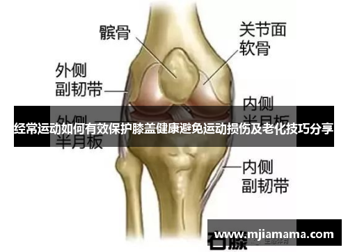 经常运动如何有效保护膝盖健康避免运动损伤及老化技巧分享