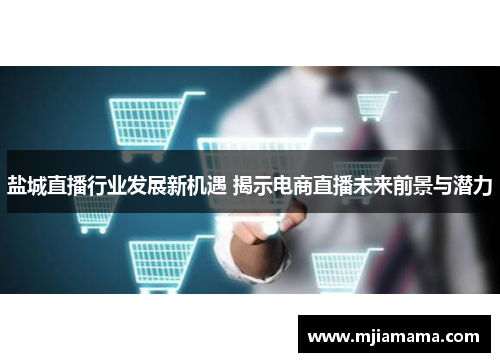 盐城直播行业发展新机遇 揭示电商直播未来前景与潜力